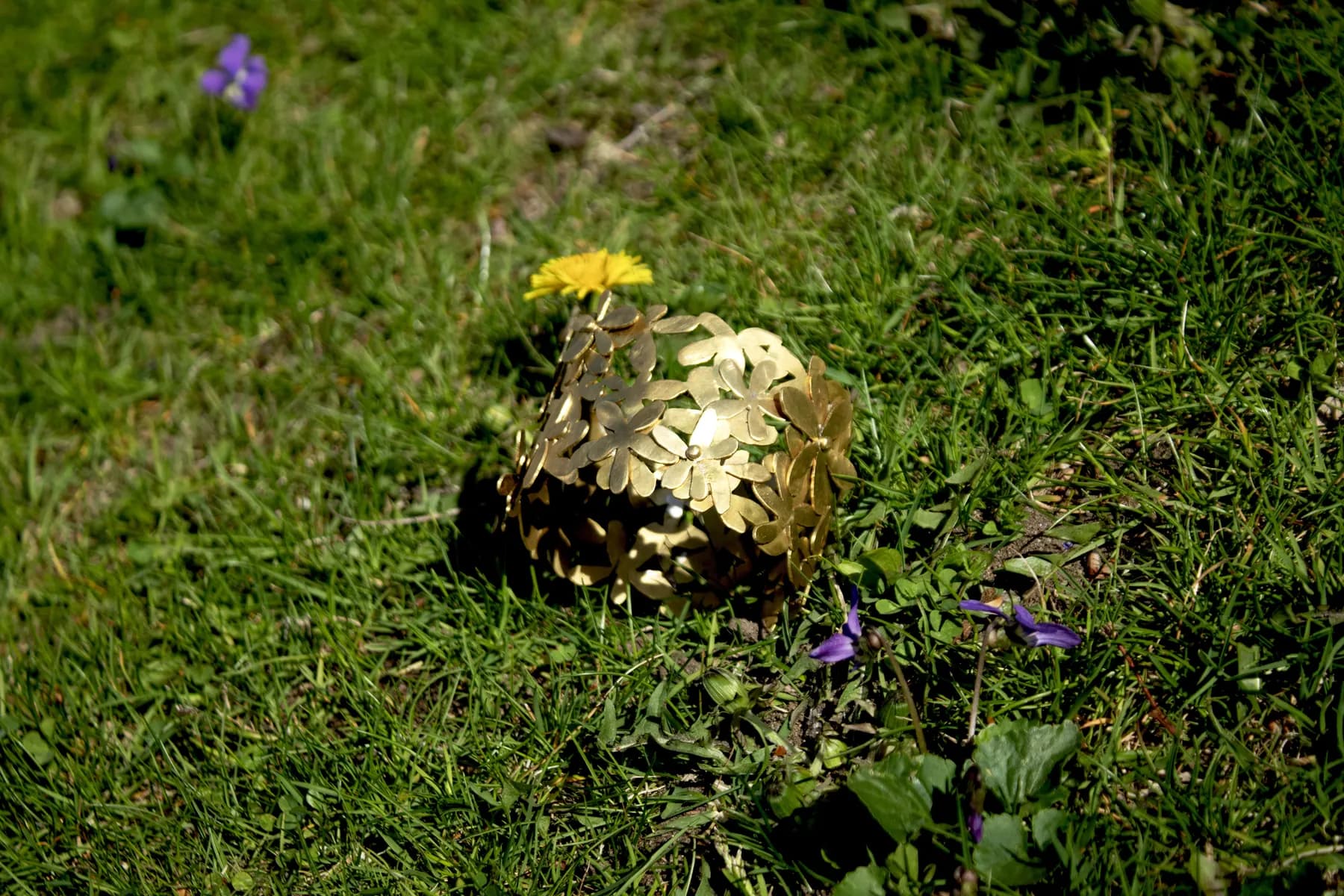 Flower Outside