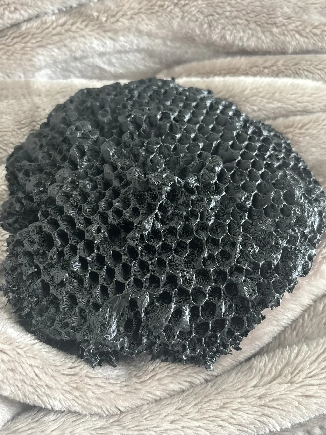 Wasp 3D Print